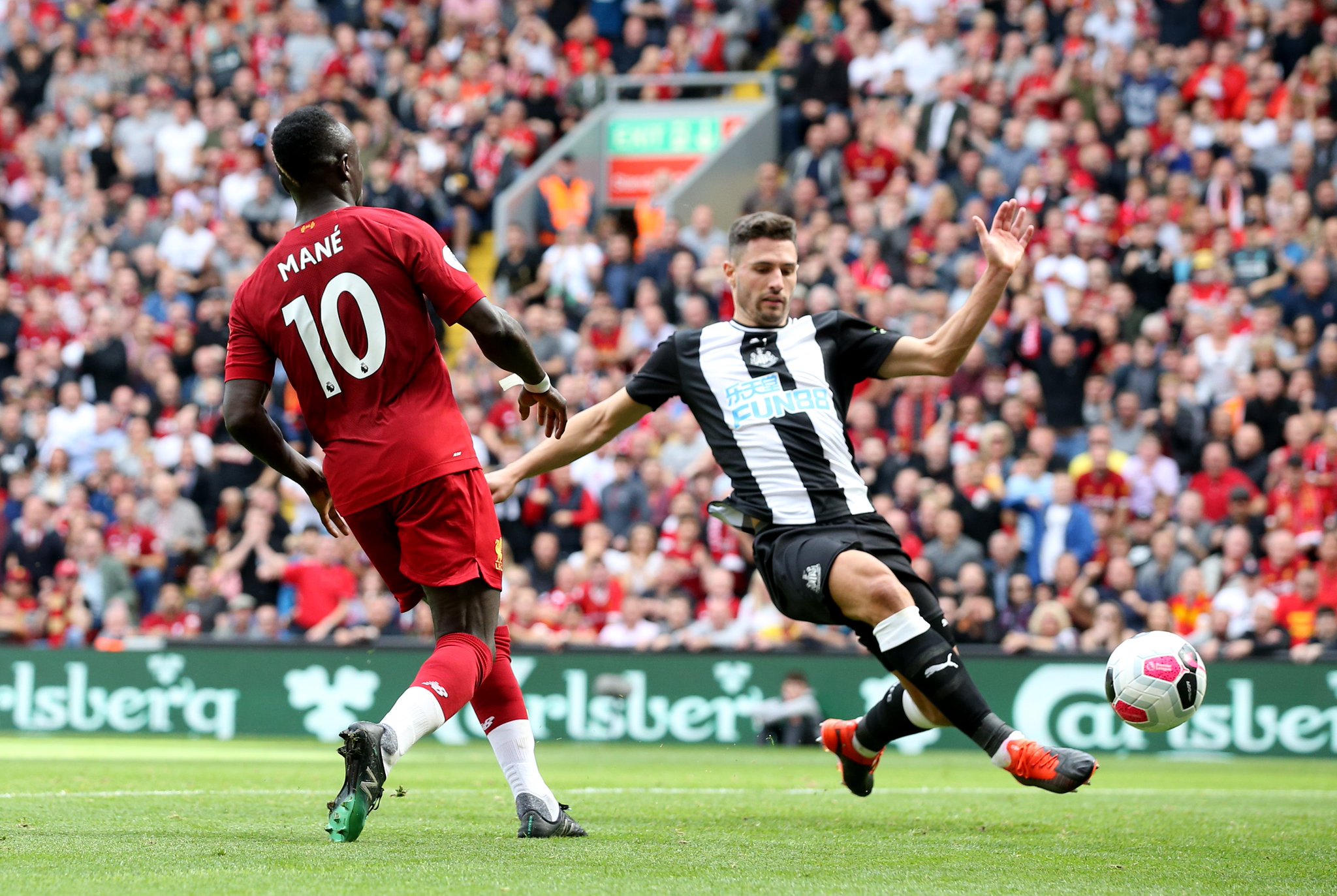 显示了他们 显示了他们